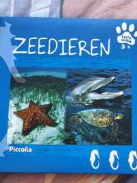 Zeedieren - in het wild