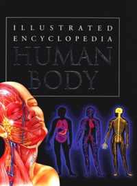 Human Body