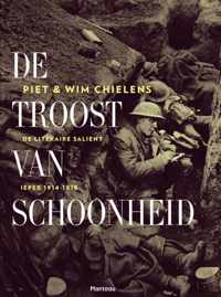 De troost van schoonheid