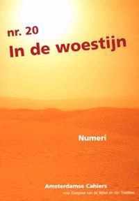 In de woestijn