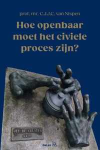 Hoe openbaar moet het civiele proces zijn?