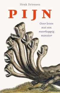 Pijn - Henk Driessen - Paperback (9789462497030)