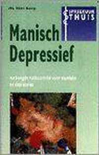 Manisch depressief