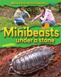 Where to Find Minibeasts