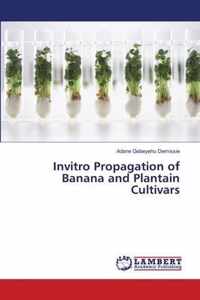 Invitro Propagation of Banana and Plantain Cultivars