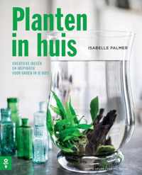 Planten in huis