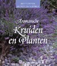 Aromatische Kruiden En Planten