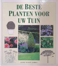 De beste planten voor uw tuin