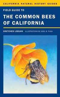 Field Guide To Common Bees Of California