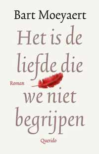 Het is de liefde die we niet begrijpen