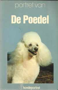 Poedel