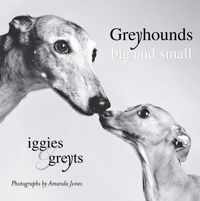 Greyhounds Big and Small