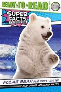 Polar Bear Fur Isn't White!