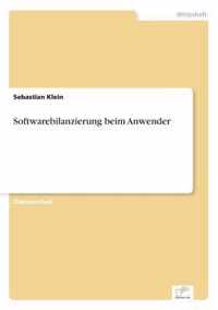 Softwarebilanzierung beim Anwender