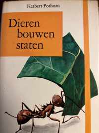 Dieren bouwen staten