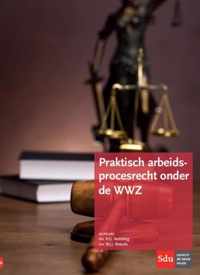 Praktisch arbeidsprocesrecht onder de WWZ - P.G. Vestering, W.J.J. Wetzels - Paperback (9789012395724)