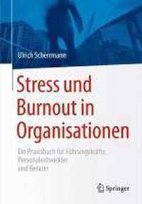 Stress und Burnout in Organisationen