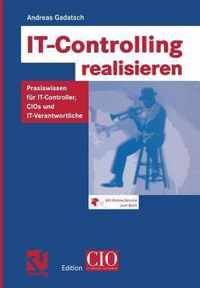 IT-controlling Realisieren