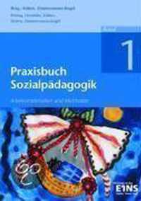 Praxisbuch Sozialpädagogik 1 Arbeitsbuch