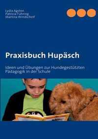 Praxisbuch Hupasch