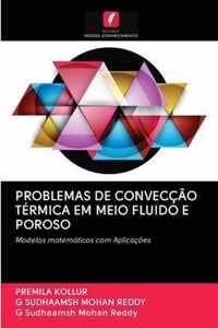 Problemas de Conveccao Termica Em Meio Fluido E Poroso