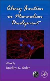 Ciliary Function in Mammalian Development