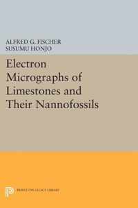 Electron Micrographs of Limestones and Their Nannofossils