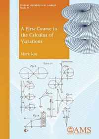 A First Course in the Calculus of Variations