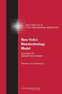 New York's Nanotechnology Model: Building the Innovation Economy