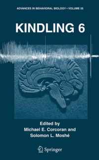 Kindling 6