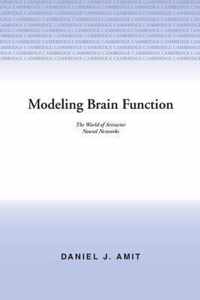 Modeling Brain Function