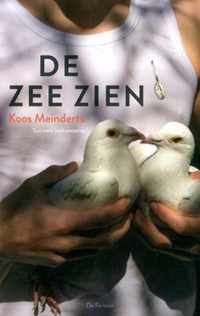 Koos Meinderts, De zee zien