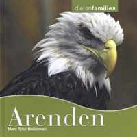 Dierenfamilies  -   Adelaars