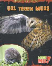 Uil tegen muis