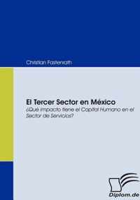 El Tercer Sector en México: ¿Qué impacto tiene el Capital Humano en el Sector de Servicios?