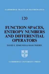 Function Spaces, Entropy Numbers, Differential Operators