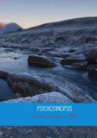 Psychosynopsis - Hans Christiaan Mol - Paperback (9789402127997)