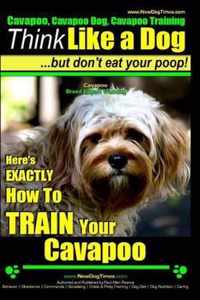 Cavapoo, Cavapoo Dog, Cavapoo Training - Think Like a Dog But Don't Eat Your Poop! - Cavapoo Breed Expert Training -
