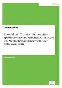 Auswahl und Charakterisierung einer spezifischen technologischen Schnittstelle und Wechselwirkung innerhalb einer CFK-Prozesskette