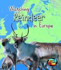 Watching Reindeer in Europe