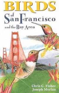 Birds of San Francisco