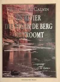 Rivier Die Tegen De Berg Opstroomt