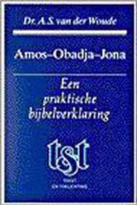 Amos-obadja-jona