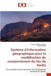 Systeme d'information geographique pour la modelisation du comportement du feu de forets