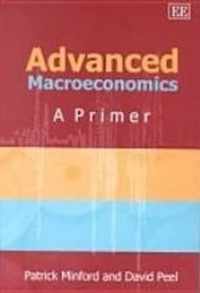 Advanced Macroeconomics