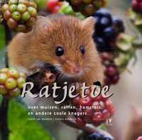 Ratjetoe