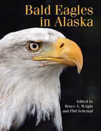 Bald Eagles in Alaska