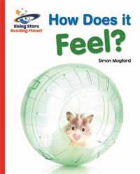 Reading Planet - How Does it Feel? - Red A