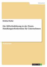 Die SEPA-Einführung in der Praxis. Handlungserfordernisse für Unternehmen