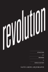 Revolution  Structure and Meaning in World History
